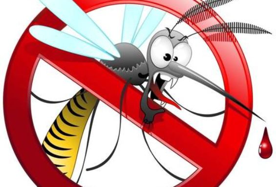 Trattamenti anti zanzare su tutto il territorio comunale